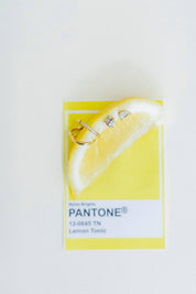 Screwback Stud Earrings - Maren