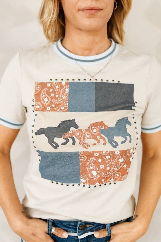 The Paisley Top