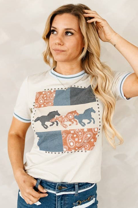The Paisley Top